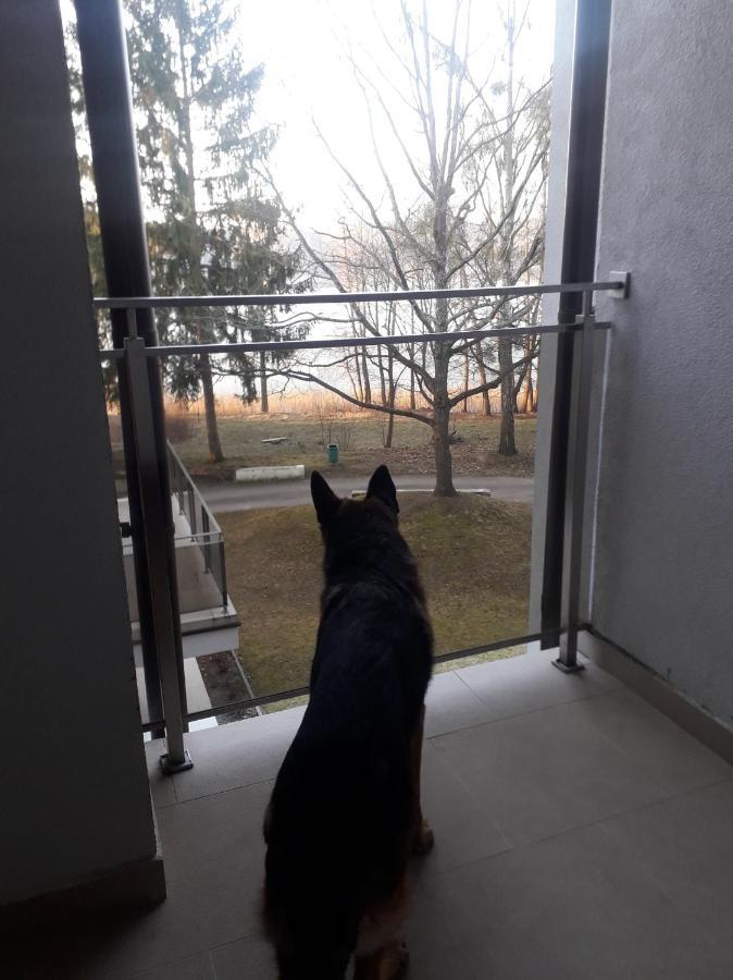 Perla 22 Jezioro Pluszne Apartment *
