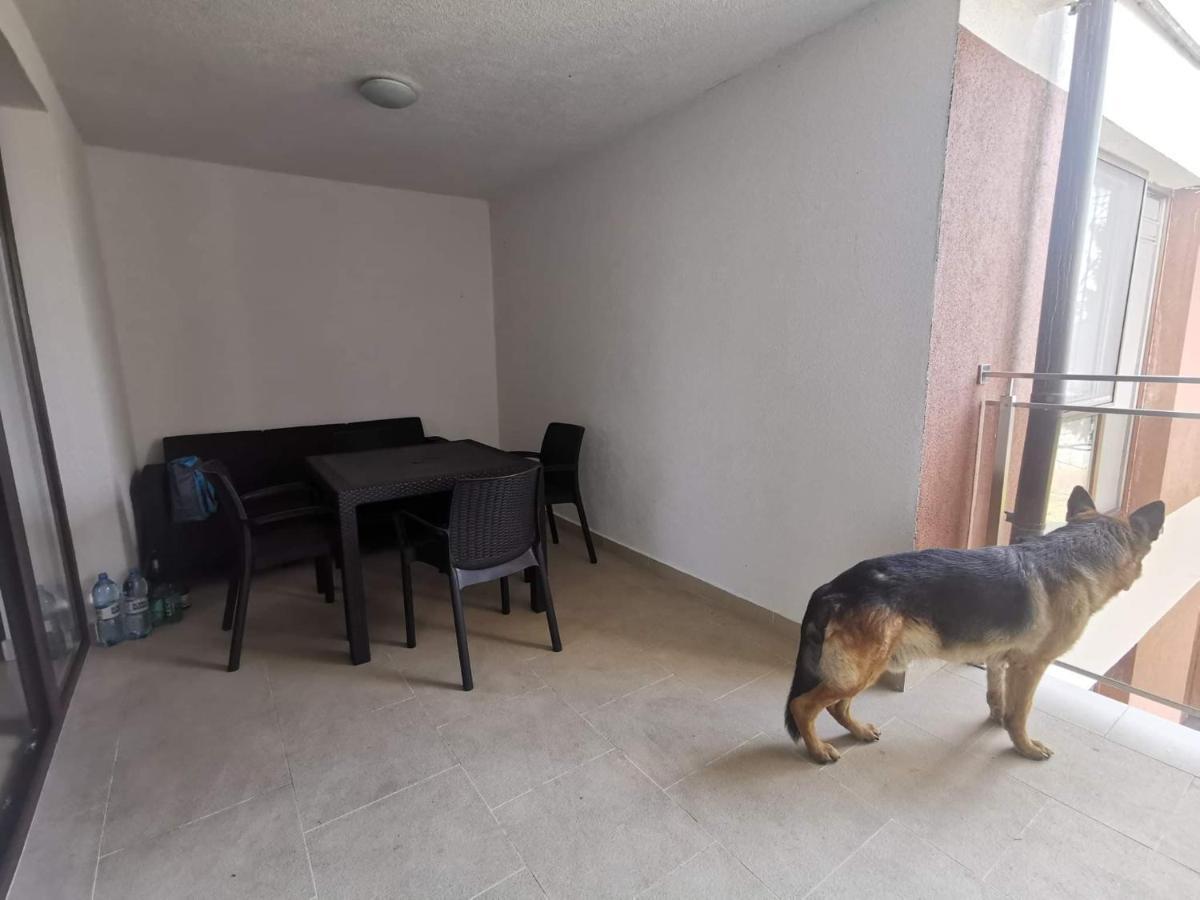 Perla 22 Jezioro Pluszne Apartment *